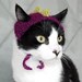 The Dinosaur Hat in Magenta(ish)
