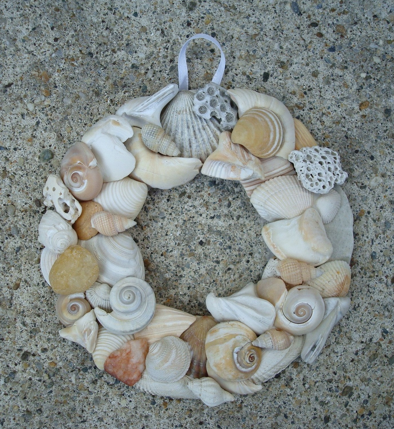 Shell Wreath - 4 1/4 inch - Natural Shell Wreath - Beach Home Decor - Shell Wall Hanging