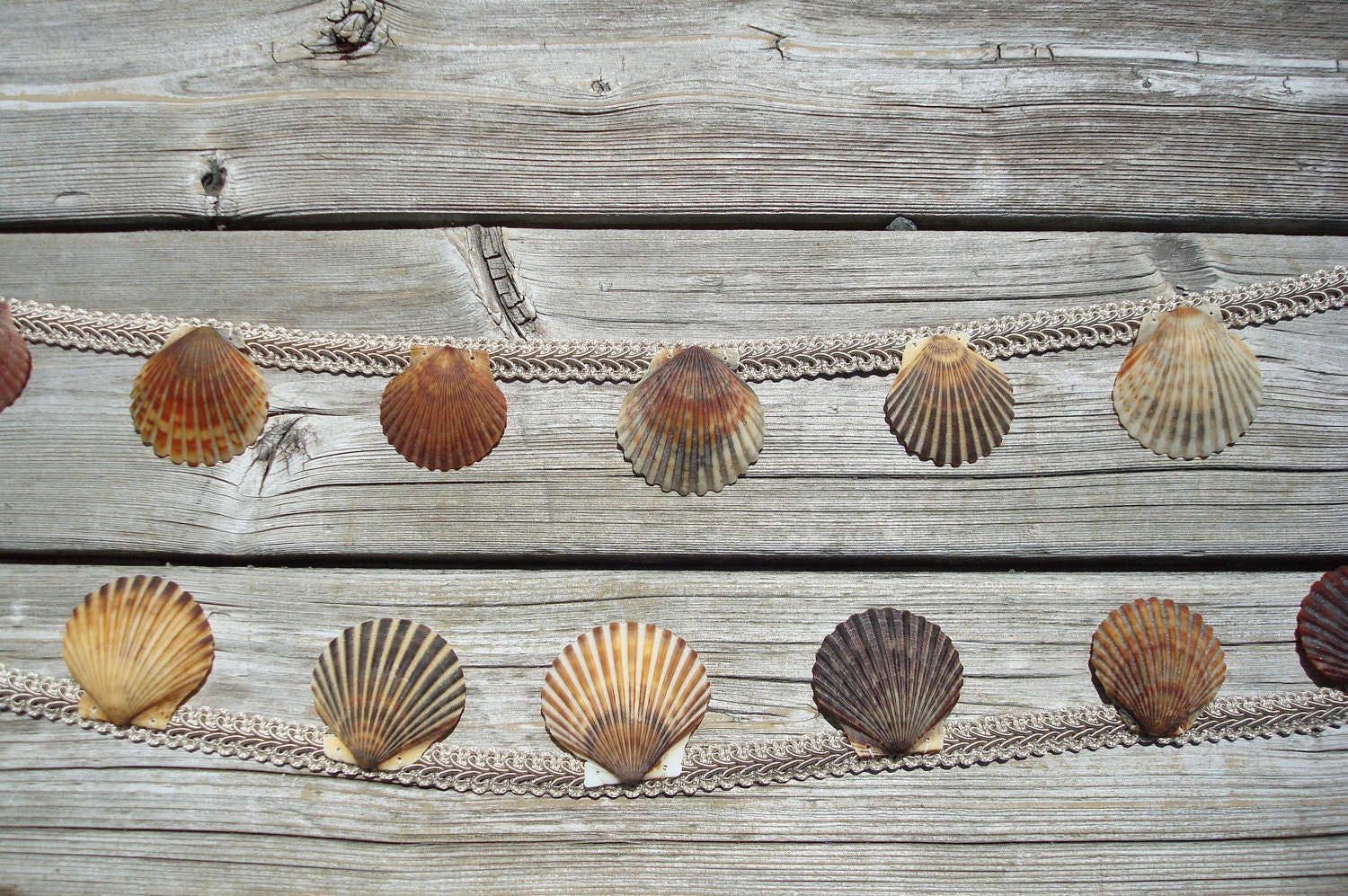 Shell Garland - Sea Shell Garland - Seashell Garland - Wedding Garland - Natural Shell Garland