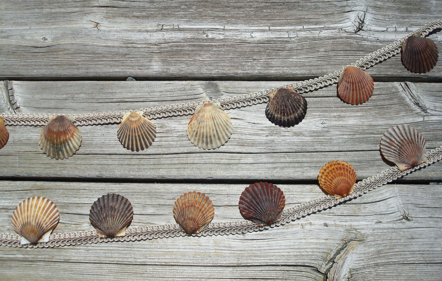 Shell Garland - Sea Shell Garland - Seashell Garland - Wedding Garland - Natural Shell Garland