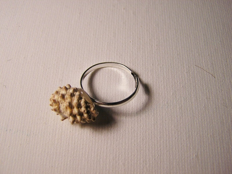 Spike Shell Ring