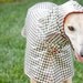 Dog Raincoat Slicker - Houndstooth - Large Breed