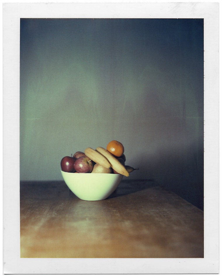Polaroid vintage still life 8x10 fine art print on slightly textured paper - giclee