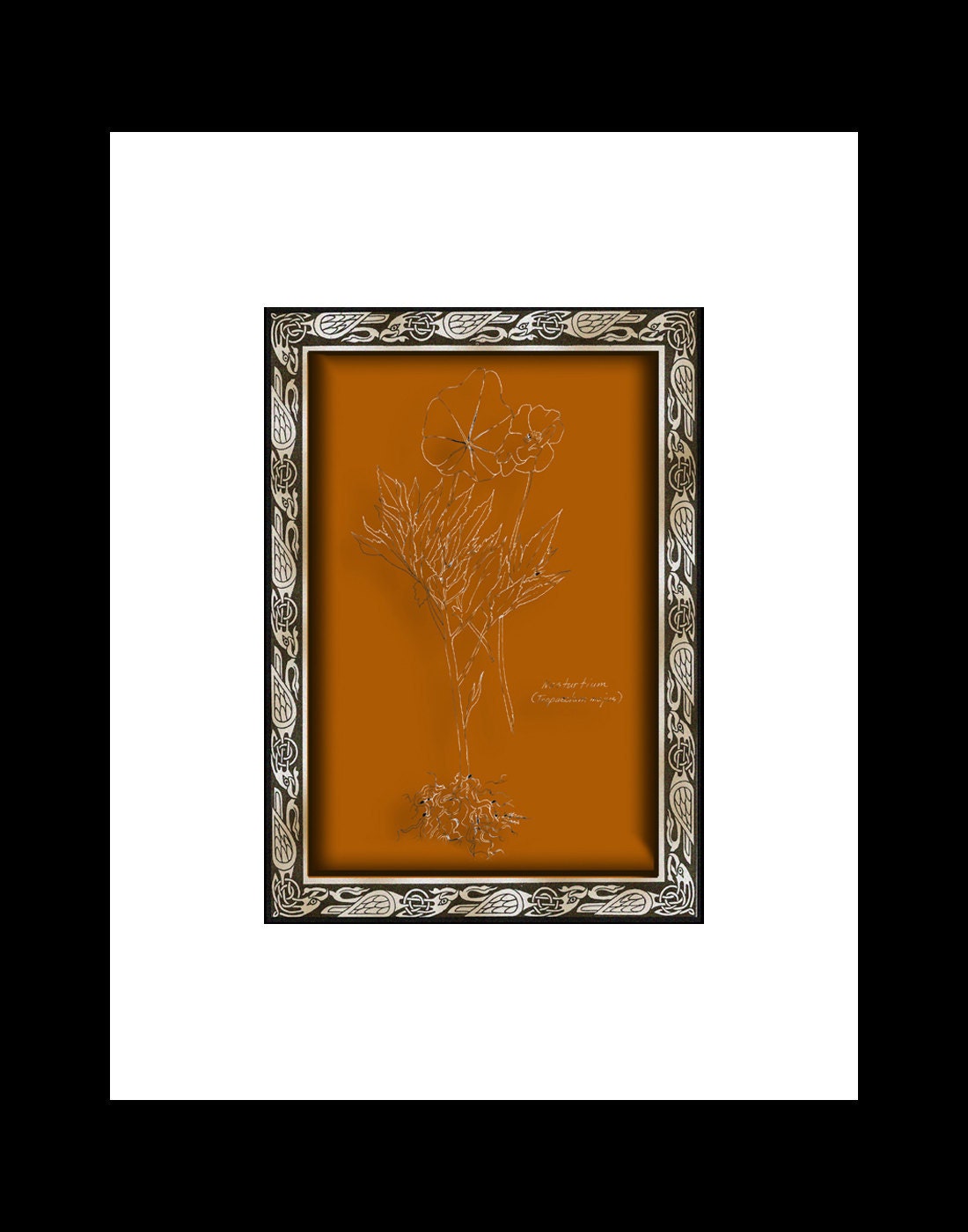 Celtic Nosturtium