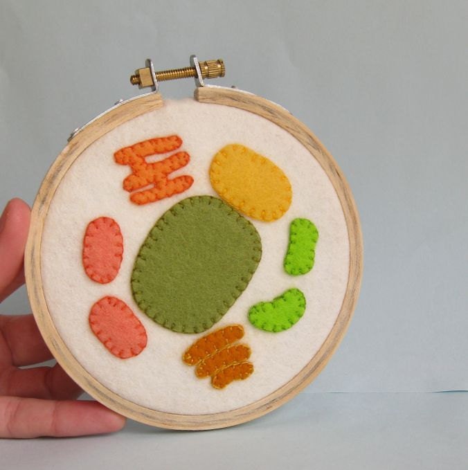 Plant Cell Embroidery Hoop