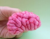 Brain Brooch Anatomy Side View Raspberry