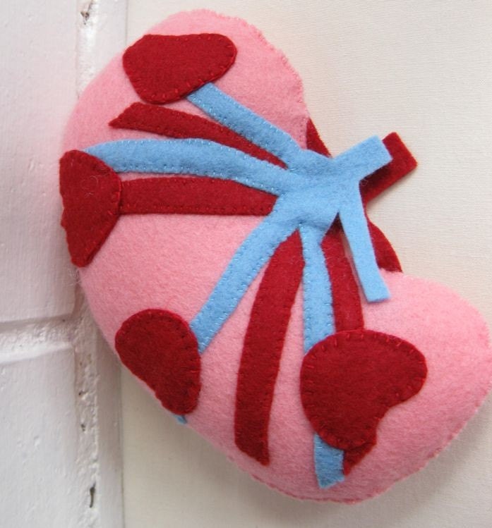 Kidney Plush