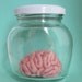 Specimen Jar Brain Anatomical Curio Medium Sized No.2