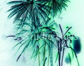 BOGO 50% off -  Cyber SALE -- Live IN Color- 8x10 - Fine Art Photography Print
