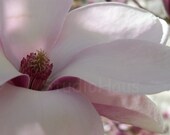 BOGO 50% off -  CYBER SALE -- Sweetly - 5x7 - Fine Art Photography Print