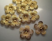 12 brass 5 petal flower charms
