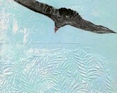 Trust the Wind - Turkey Vulture Fine Art Print