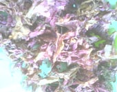 Dried Azalea Blossoms Herb Spell / Ritual / Incense magick Yekaterinburg protection hex breaking drawing Mercury Venus