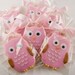 Owl Sugar Cookie Favors - (24 Favors, bagged and bowed)