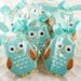 Owl Sugar Cookie Favors (12 favors, bagged and bowed)