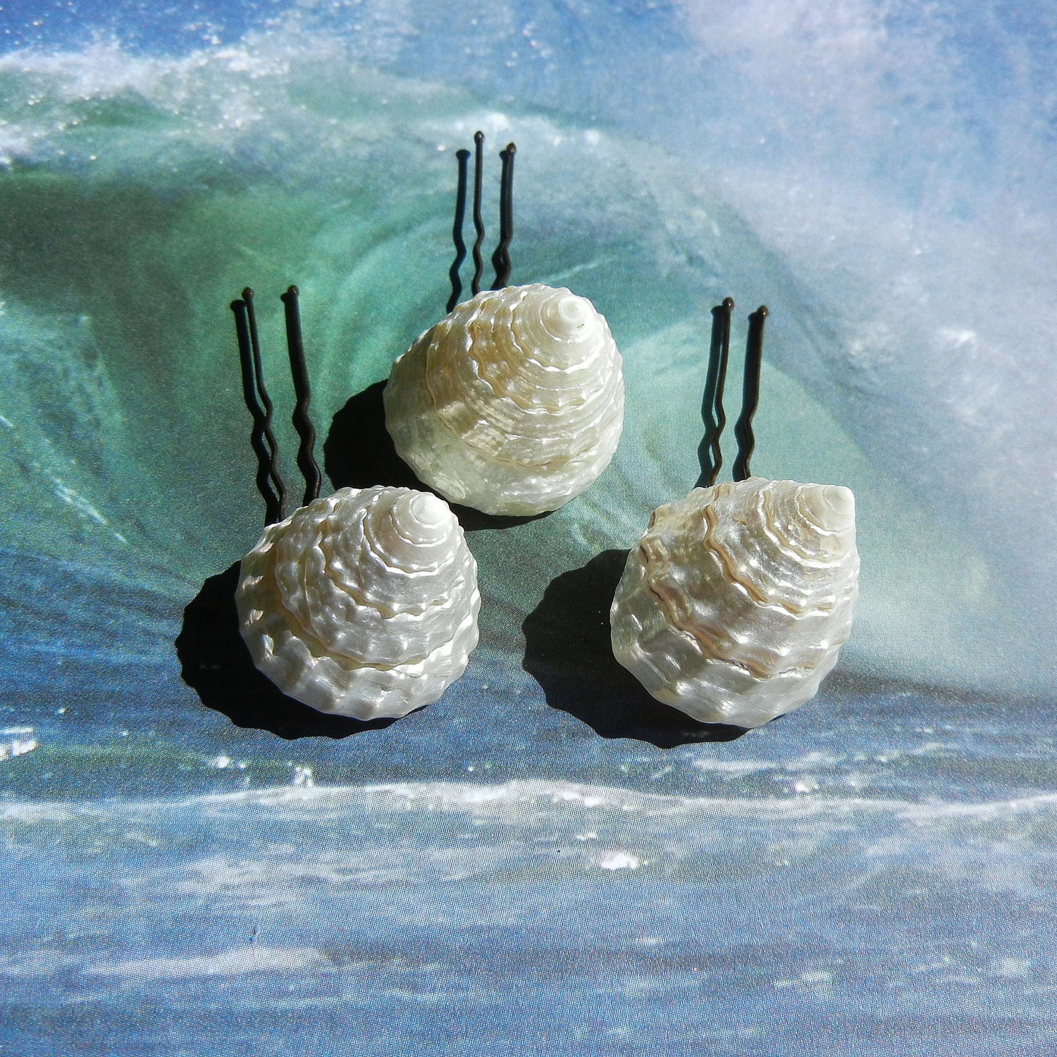 Seashell Hair Pins - Pearly  Tops