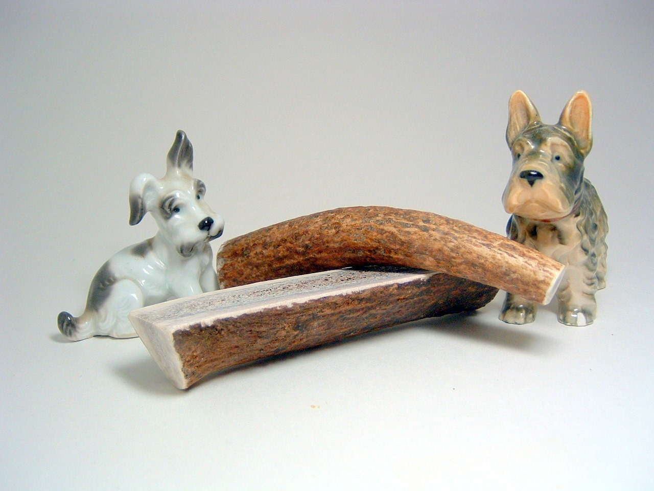 Small Whole Antler Dog Chew -Sized for Dogs 10-25 lbs.