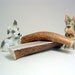 Small Whole Antler Dog Chew -Sized for Dogs 10-25 lbs.