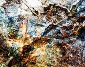 The Thaw 9x12 Photo Art