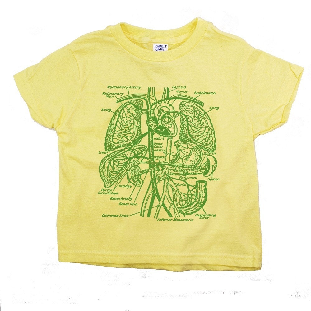 Toddler Organs Tshirt Medical Science Anatomy Tee