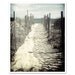 Cape Cod Beach Photography - 8x10 fine art photo - ocean photograph - Nautical seaside wall art New England sand surf summer