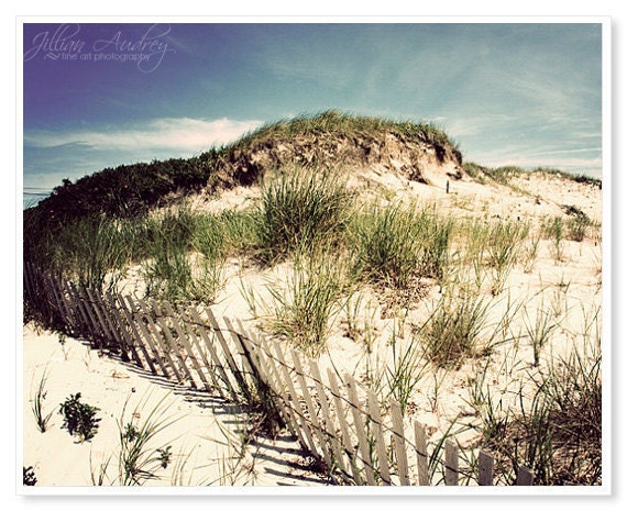 Beach Dunes Photograph - 8x10 fine art photo print - nautical seaside wall art and room décor New England ocean photography Cape Cod summer