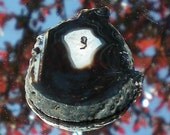 Tuxedo Agate