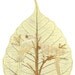 LOVE Birds. Unique Valentine Gift. No two leaf or leaf art looks exactly alike. Gifts under 10 COLLECTIBLE art