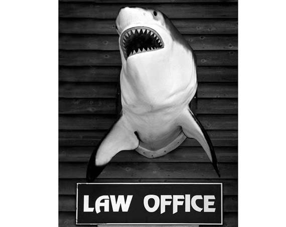 Law, lawyer, attorney, shark humor, 16x24 Canvas Art Print