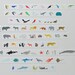 Colte Washi Masking Tape - Animals from Sky, Land & Sea - Wide Set 3 - Kids