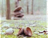 Gather Balance - Fine Art Photograph - 5 foot wall print