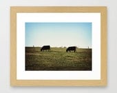 Grass Fed - Fine Art Photography Print - Framed 12 x 10