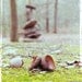 Gather Balance - Fine Art Photograph - 5 foot wall print