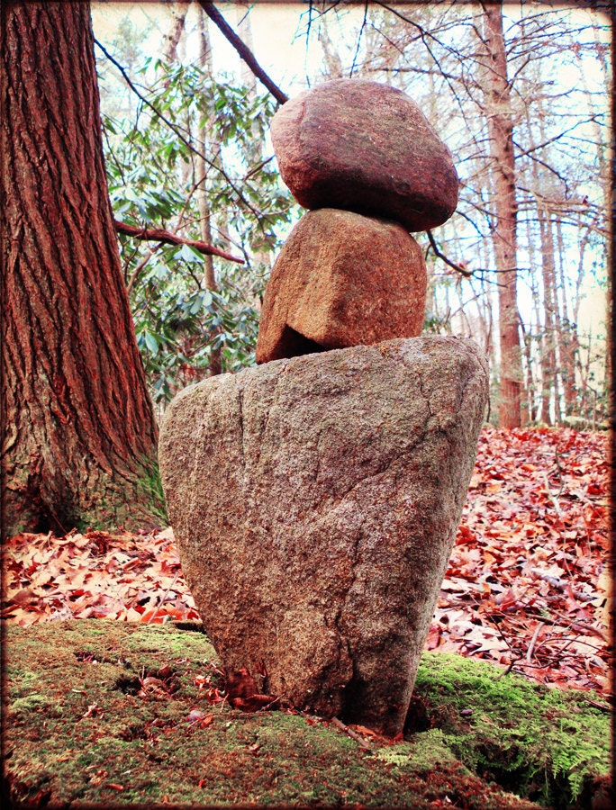 Rock the Forest - Fine Art Photograph - 5 foot wall print