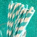 BULK Teal Striped Paper Straws and Sprinkles (100)