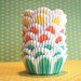 Assorted Pretty Pastel Tulip Cupcake Liners (75)