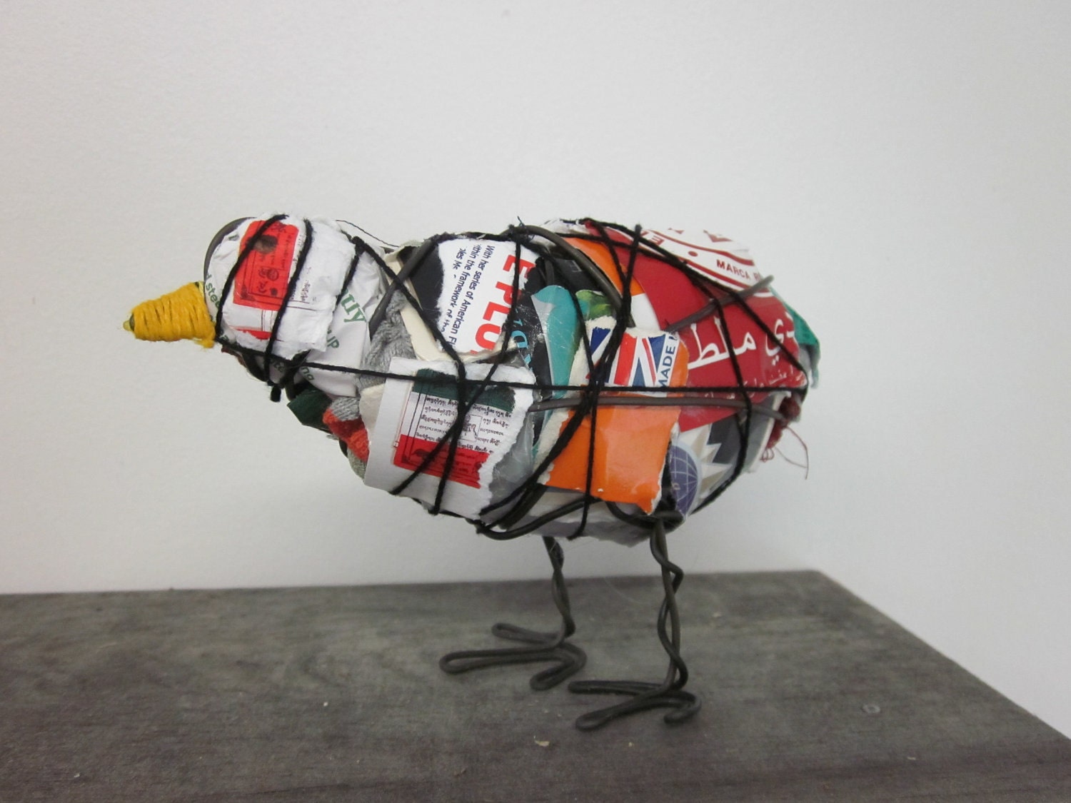 Trash Bird