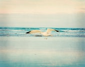 Summer Bird animal seagull under 50 for her women for him men dude nautical ocean sea water aqua blue flying - Fine Art Photography Print