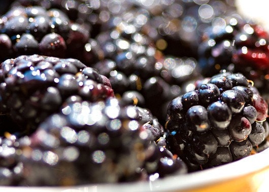 Spring Photo Food Blackberries black kitchen under 25 fruit BBQ picnic sweet sparkles white water drops summer - Fine Art Photography Print