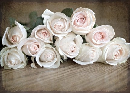 Valentine's Day Ready to ship Winter wedding romantic roses under 10 for her women light pink texture flowers love soft shabby chic - ACEO