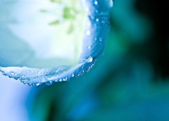 Aqua turquoise winter teal under 25 december birthday for her women blue green ice water drops white cream romantic - Fine Art Photography