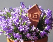 Plant Water Feeder - House