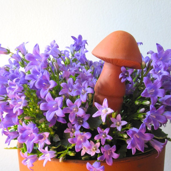 Plant Water Feeder - Mushroom