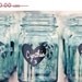 150 Heart Chalkboard Labels - DIY Chalkboard Mason Jars, Place Settings, Wedding Chalkboards FREE SHIPPING