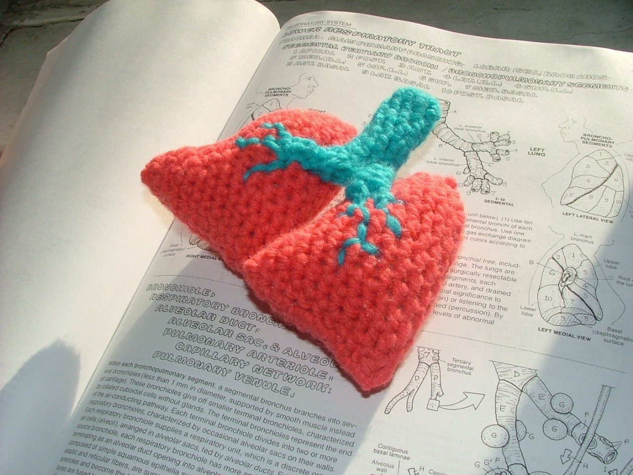 Pattern, Lungs Crochet Plush