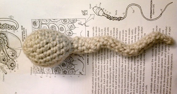 Pattern, Sperm Crochet Plush