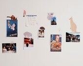 Wall Decals Mini Australian Animals (Reusable and removable fabric stickers, not vinyl) - MINI Australiana