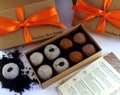 Foodie gourmet seed bombs - Culinary Basil Garden Bon Bons