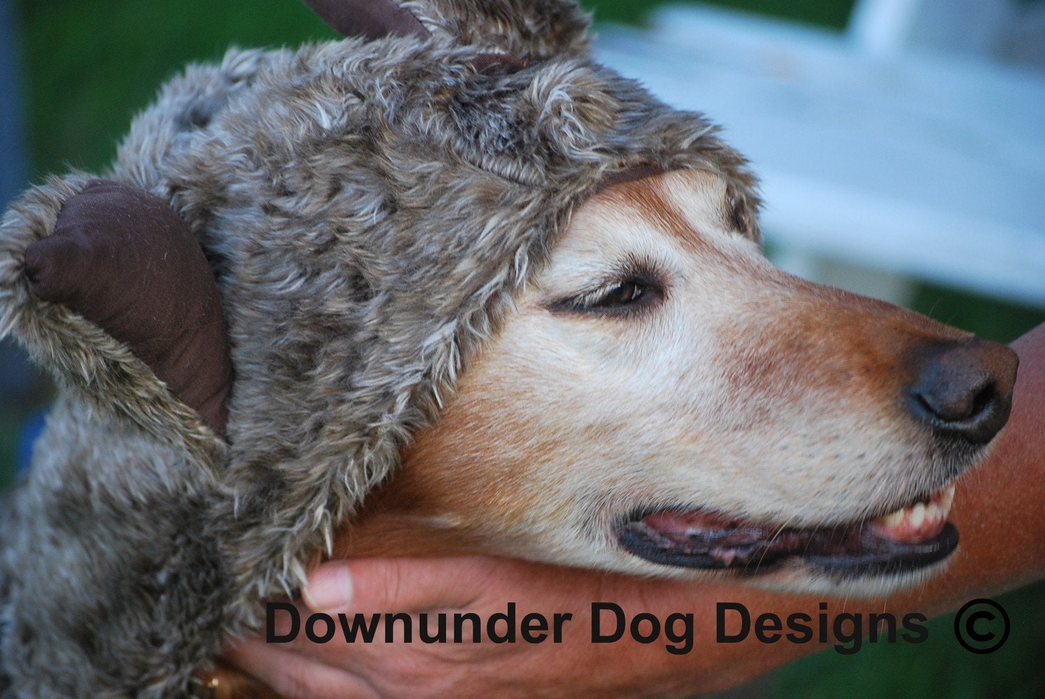 Big Bad Wolf Costume custom sizes As Featured onPeoplepets.com  xlarge and above ONLY   4 Left
