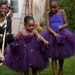 Perfectly Plum Tutu Dress - NB, 12m, 18m, 2t, 3t, or 4t